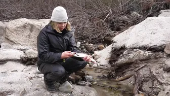 2 DAY SOLO SURVIVAL CAMPING YOUNG GIRL Fishing in Mountains! ASMR #9