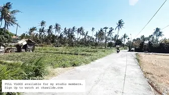 I'm not using adjectives anymore in my creative writing - Nomadic Artist Vlog in Amed, Bali #3