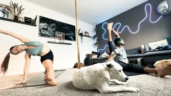 "Cruella" Yoga Flow with @justliketrev and the Dogs