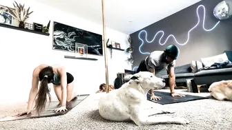 "Cruella" Yoga Flow with @justliketrev and the Dogs #3