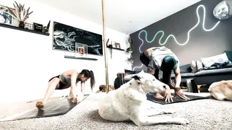 "Cruella" Yoga Flow with @justliketrev and the Dogs #4