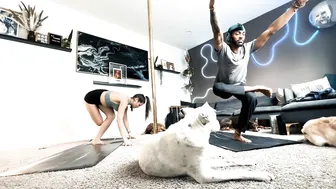 "Cruella" Yoga Flow with @justliketrev and the Dogs #5