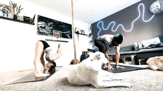 "Cruella" Yoga Flow with @justliketrev and the Dogs #6