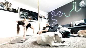 "Cruella" Yoga Flow with @justliketrev and the Dogs #7