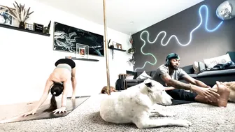 "Cruella" Yoga Flow with @justliketrev and the Dogs #8