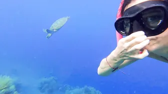 Freediving Fins Penetrator Ghost Pink, Snorkeling in Jemuluk Bay, Amed #9