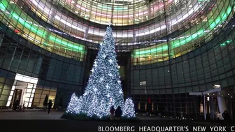 BLOOMBERG CHRISTMAS TREE DISPLAY #2