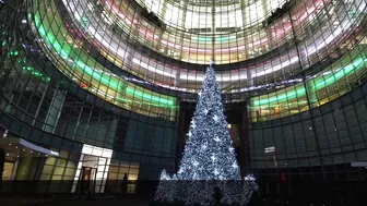 BLOOMBERG CHRISTMAS TREE DISPLAY #4