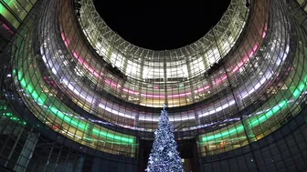 BLOOMBERG CHRISTMAS TREE DISPLAY #6