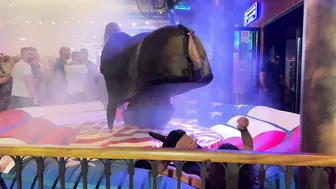 Amazing mechanical bull riding May 8th 2024 night in Benidorm Spain ♥️♥️ #10