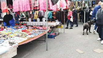 Street market in Benidorm February 29th 2024 in Benidorm #5