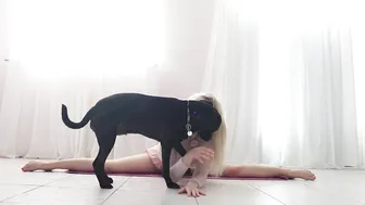 Yoga and Stretching Art — My Puppy Always Happy to Join #5