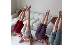 Deep Flexibility Flow with Friends