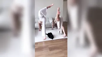 Arch Stretching with Friends & Cat #10