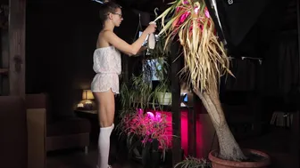 Girl cleaning the home plants #8