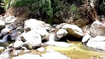 Weekend OutDoors & Relaxing in the Fresh Nature of Mountain Water in the Forest #2