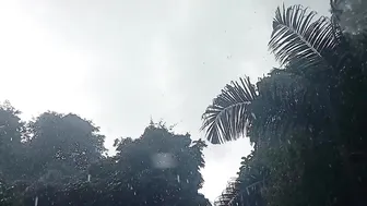 大雨が降ったときに自然を探索する ||大雨が降ったときは、森の真ん中にある隠れた川で泳ぎましょう #10