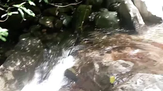 大雨が降ったときに自然を探索する ||大雨が降ったときは、森の真ん中にある隠れた川で泳ぎましょう #6