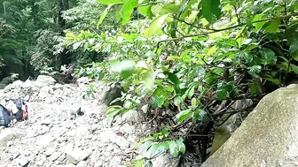 Hidden Waterfall in the Middle of the Forest || Walk ±5 KM in 2.½ hours || Adventure Alone #5