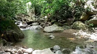 EXPLORE IN THE NATURE || CAMP AND ENJOY THE COOL RIVER WATER FROM THE FOREST & MOUNTAINS #8