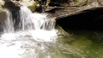 Find a hidden waterfall in the forest #3