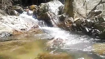 SWIMMING & RELAXING Mandi di Air terjun Dan Sungai Jernih Suasana Pagi hari di Tengah Hutan #6