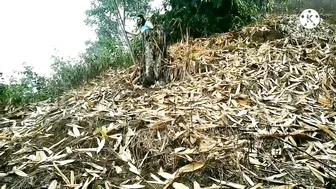 Wisata pantai indah di sore hari||Naik ke puncak Gunung boliyohuto||puncak bonthula #8