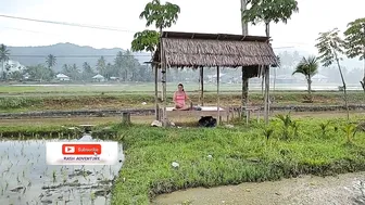 Aktifitas Warga sore hari di Sawah||Rumput Hijau Persawahan #5