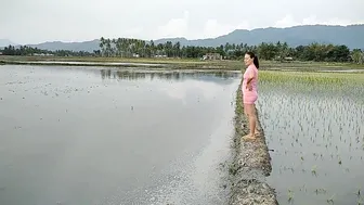 Aktifitas Warga sore hari di Sawah||Rumput Hijau Persawahan #6