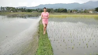 Aktifitas Warga sore hari di Sawah||Rumput Hijau Persawahan #8