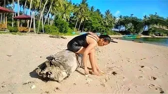 Wisata Pantai Indah Pemandangan Alam Cerah berwarna Langit Biru