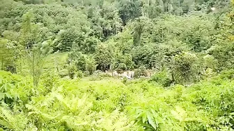 Aktivitas Warga di Tengah Hutan Airnya Dingin udara Pegunungan Sejuk Relaksasi Mandi di Air Terjun #2