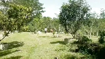 Kampung Ini di Kelilingi Pegunungan Dengan Pemandangan Alam Indah Dan Sejuk Udaranya #7