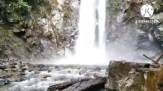 Air terjun Tersembunyi di Tengah Hutan Relaksasi pemandangan Alam Nan Sejuk #2