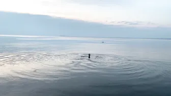 July 2023. Svetlovodsk. Evening swimming #8