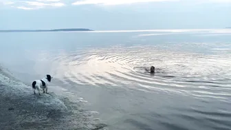 July 2023. Svetlovodsk. Evening swimming #9