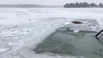 17.01.2022, моржевальные приключения #5