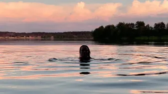 13.06.2022, evening swimming #7