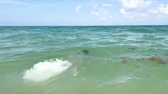 PRIMEIRA VEZ NA PRAIA EM PLAYA DEL CARMEN #7