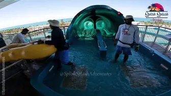 Smooth Ride at Aquaventure Water Park in Dubai #4