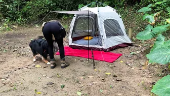 SOLO CAMPING - Brazilian GIRL COLLECTING forest MUSHROOMS and cooking - ASMR #6