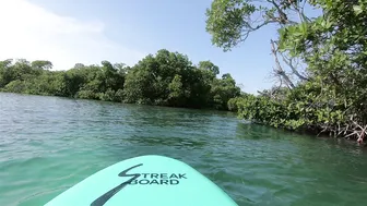 Crunch!♥️♥️♥️Rescue & Repair Outboard Experience ♥️♥️⛵ Sailing and Fun - Adventures in the Florida Keys! #3