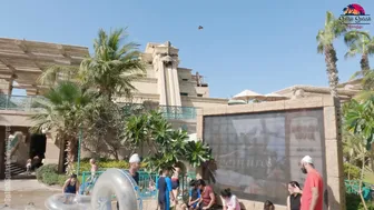 ♥️♥️ Would YOU TRY This Water Slide at BIGGEST Water Park Aquaventure in Dubai? #9