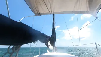 Bounce Baby, Bounce Baby ♥️♥️ roughin' it at the reef ♥️♥️ adventures with Sailing and Fun♥️♥️ #9