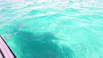 First Time Wiggin it ⛵♥️♥️ and Dropping Her Top ;) Sailing and Fun - Adventures in the Florida Keys #2