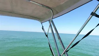 Rare 'Fish' in Beach Surf in Florida - Shell island ♥️♥️ #4