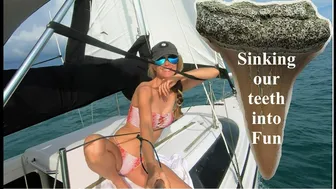 SHARK ( tooth ) WEEK 2022 with Sailing and Fun - Adventures in Sailing