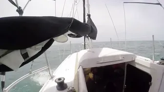 Girl Wake Boards behind a Sailboat♥️!! Florida Keys - Sailing and Fun (see description below) #2