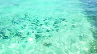 Water Water Everywhere! Gorgeous water/reef visit - sandbar search - Florida Keys - Sailing and Fun #5