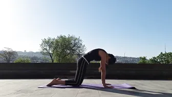 Exercise under the shade of bamboo trees, comfortable in cool weather #4